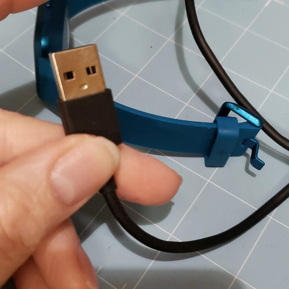 FitBit - Picture 8 of 11